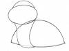 Прекрасные пошаговые инструкции, как рисовать черепаху Красивые рисунки 3д черепахи